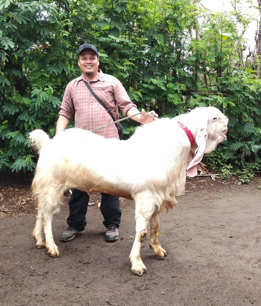 Eko Sugiyanto